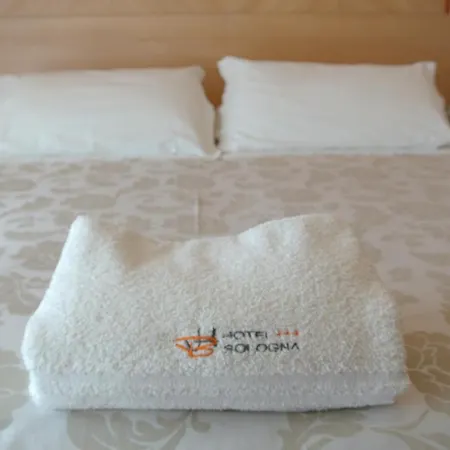 Hotell Bologna 3*